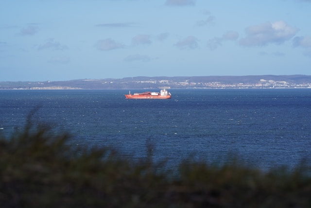 Tehran Confirms Its Forces Seized Petrochemical Tanker