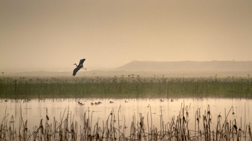 Nepal’s Terai: A Warm, Little-Known Region Where “The Guest Is God”