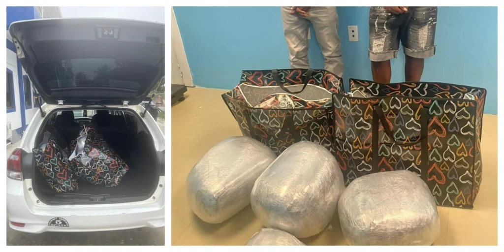 Berbice ganja drug bust: Two arrested