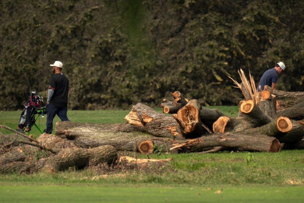 Trump Plans East Potomac Golf Course Redesign Trump Plans East Potomac Golf Course Redesign