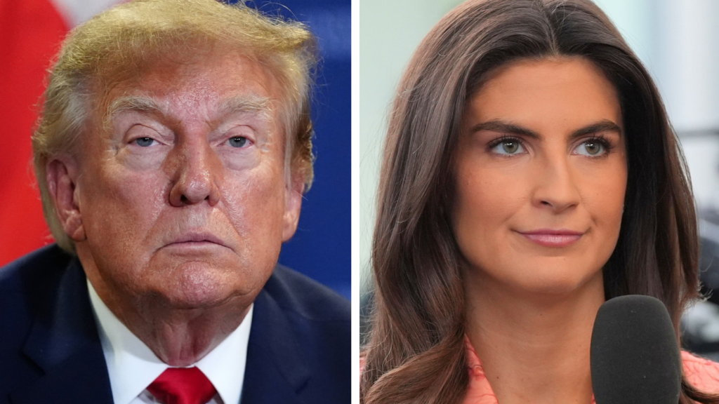 Trump Rally Cancellations Raise Midterm Questions Trump Rally Cancellations Raise Midterm Questions
